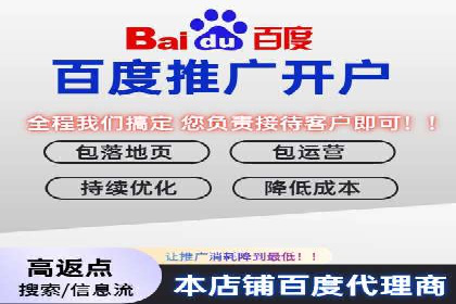 百度广告推广实战案例解析